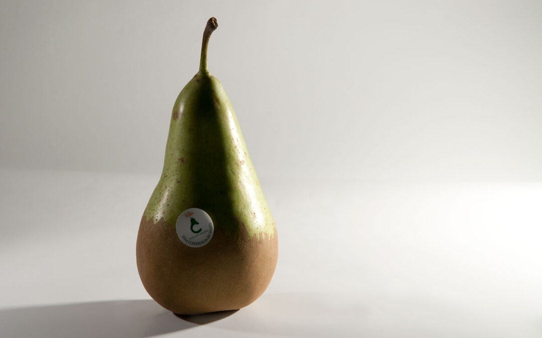 Promoción en supermercados El Árbol