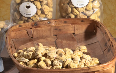 Castañas secas