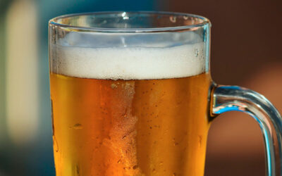 Presentación de la primera cerveza de castaña del Bierzo