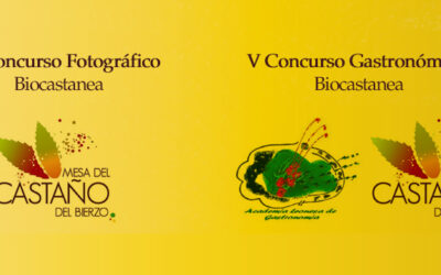 Concurso fotográfico y gastronómico. Biocastanea 2015