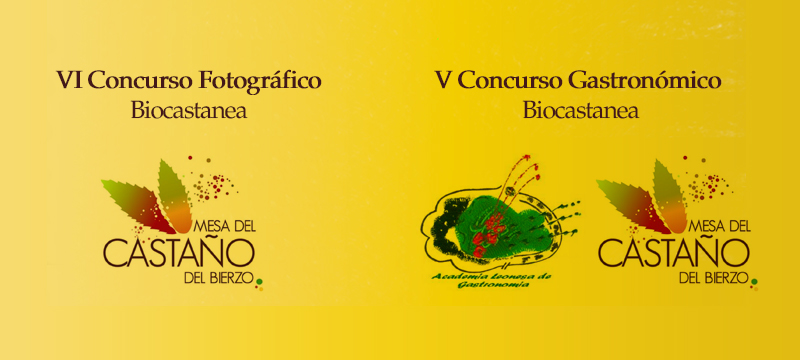 Concurso fotográfico y gastronómico. Biocastanea 2015