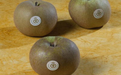 Manzana contra la diabetes