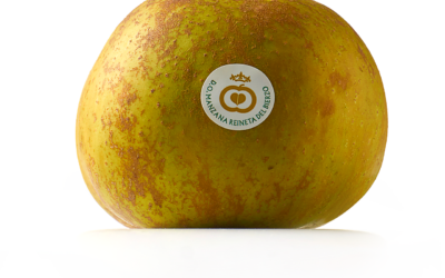 “Una manzana al día, aleja al médico de tu vida”