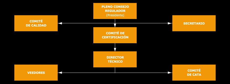 Botillo del Bierzo, estructura