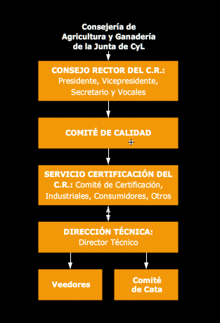 Funcionamiento Botillo del Bierzo