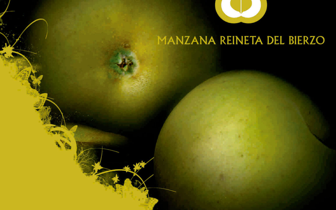 Recetario Manzana Reineta del Bierzo